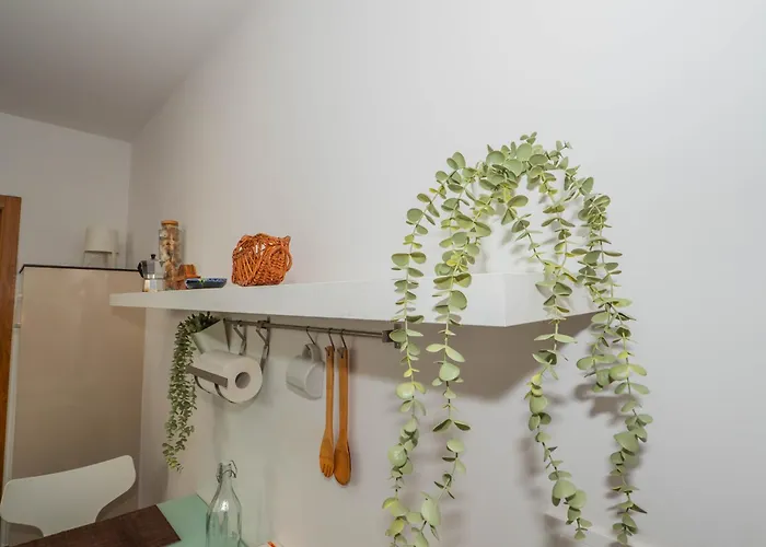 Daire Ybh Velazquez M 47, 4 Vigo